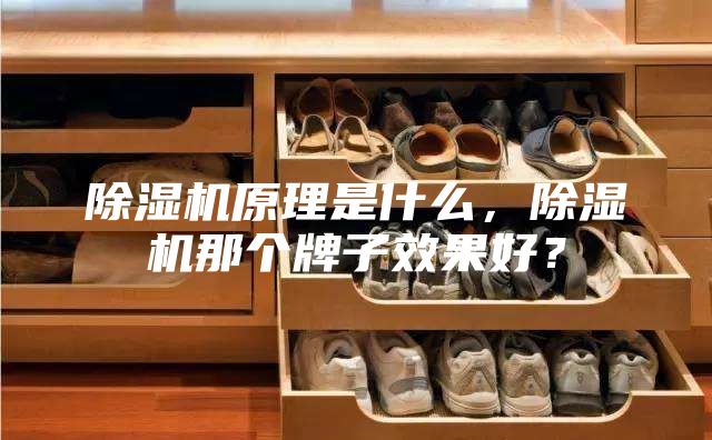 除濕機(jī)原理是什么，除濕機(jī)那個牌子效果好？