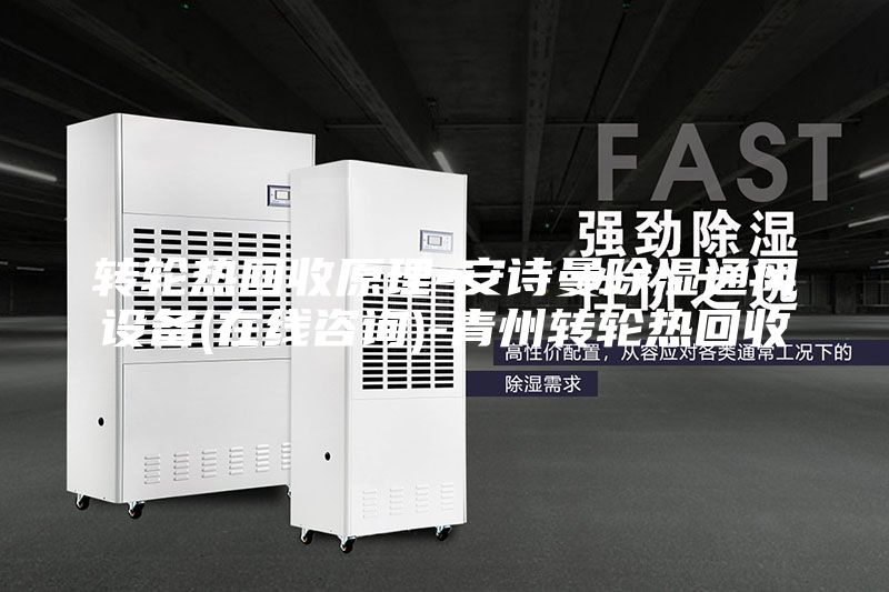 轉(zhuǎn)輪熱回收原理-安詩曼除濕通風設備(在線咨詢)-青州轉(zhuǎn)輪熱回收