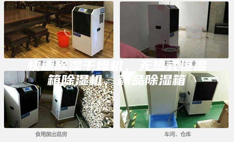 快速除濕干燥機，無熱式恒溫箱除濕機，藥品除濕箱