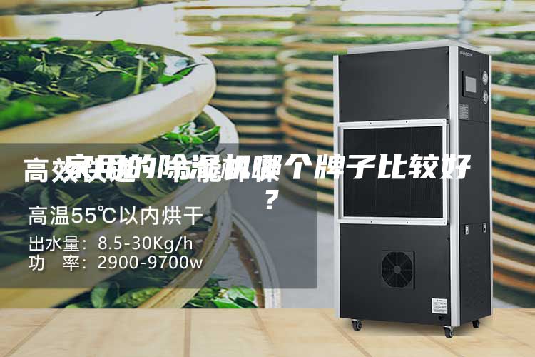 家用的除濕機哪個牌子比較好？