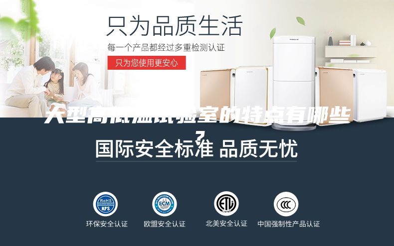 大型高低溫試驗(yàn)室的特點(diǎn)有哪些？