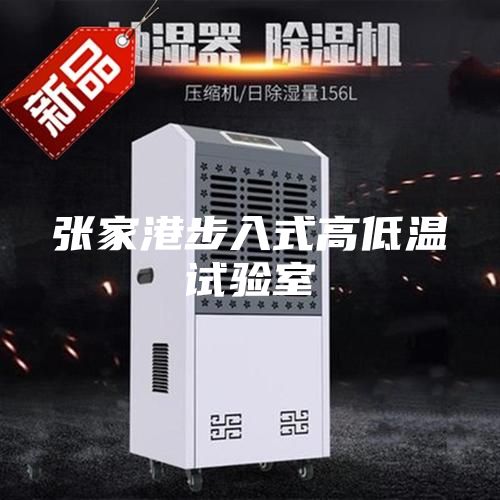 張家港步入式高低溫試驗(yàn)室