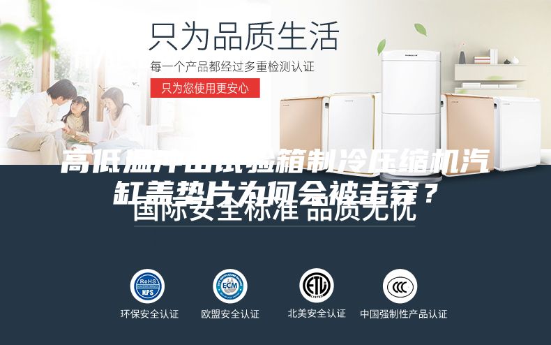 高低溫沖擊試驗(yàn)箱制冷壓縮機(jī)汽缸蓋墊片為何會(huì)被擊穿？