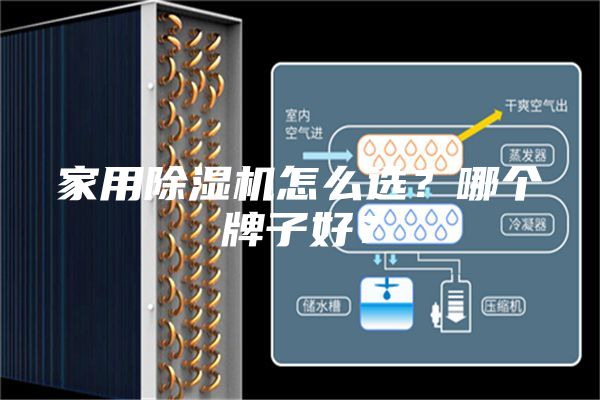 家用除濕機(jī)怎么選？哪個(gè)牌子好？