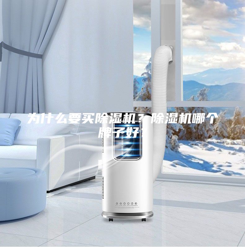 為什么要買除濕機？除濕機哪個牌子好？
