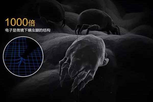 螨蟲(chóng)高發(fā)季，家用除濕機(jī)除螨有妙計(jì)！