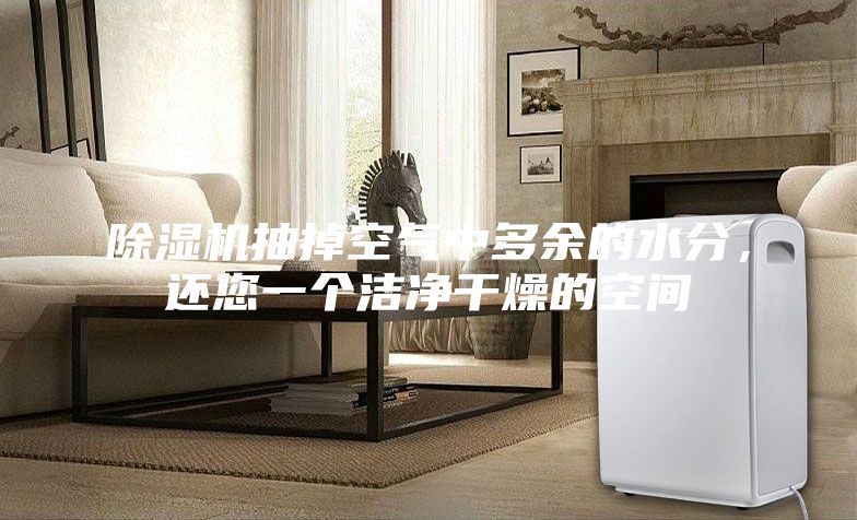 除濕機(jī)抽掉空氣中多余的水分，還您一個(gè)潔凈干燥的空間