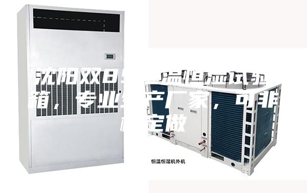 沈陽雙85恒溫恒濕試驗(yàn)箱，專業(yè)生產(chǎn)廠家，可非標(biāo)定做
