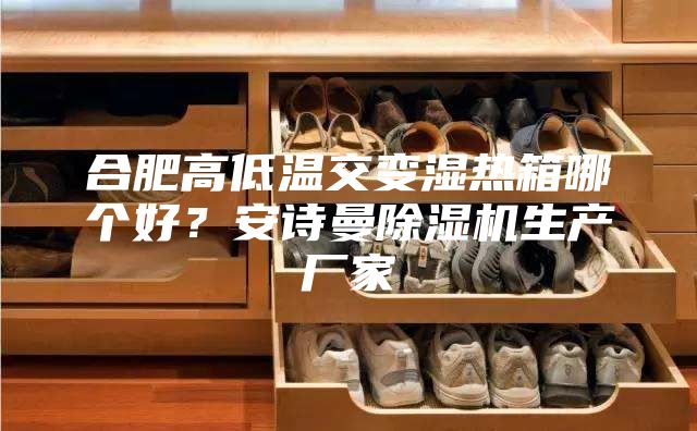 合肥高低溫交變濕熱箱哪個好？安詩曼除濕機生產(chǎn)廠家