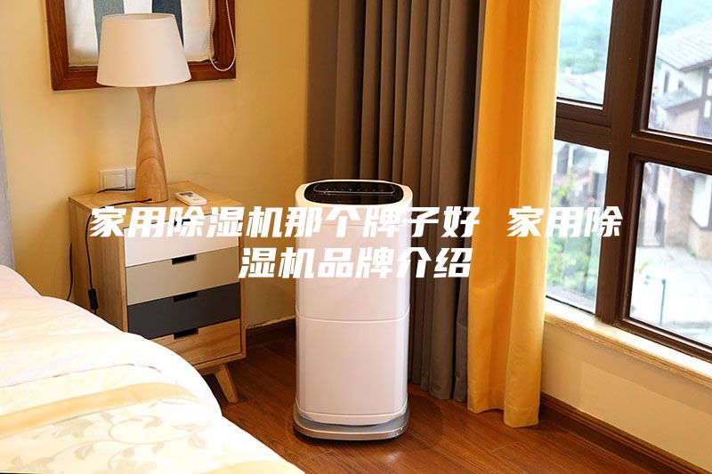 家用除濕機(jī)那個(gè)牌子好 家用除濕機(jī)品牌介紹