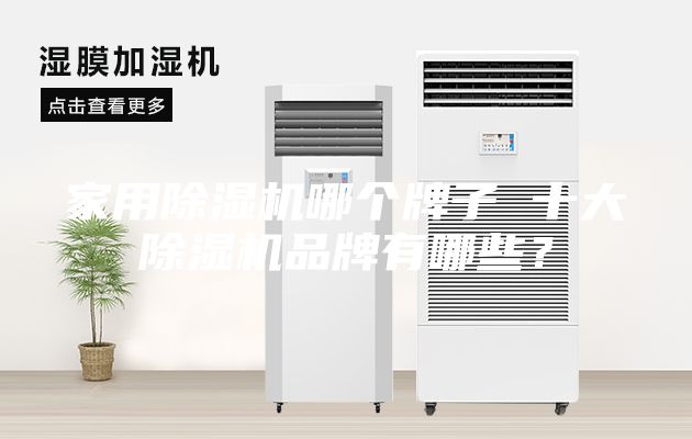 家用除濕機(jī)哪個(gè)牌子 十大除濕機(jī)品牌有哪些？