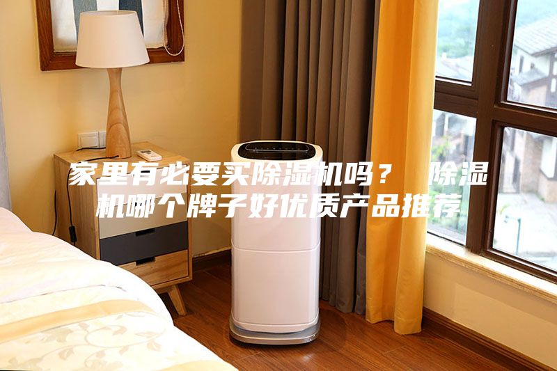 家里有必要買除濕機(jī)嗎？ 除濕機(jī)哪個(gè)牌子好優(yōu)質(zhì)產(chǎn)品推薦