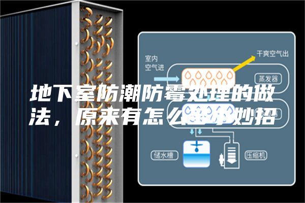地下室防潮防霉處理的做法，原來有怎么多小妙招