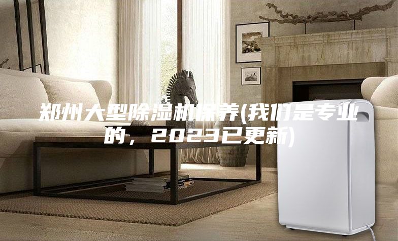 鄭州大型除濕機(jī)保養(yǎng)(我們是專業(yè)的，2023已更新)