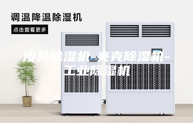 皮具除濕機(jī)-夾克除濕機(jī)-工業(yè)除濕機(jī)
