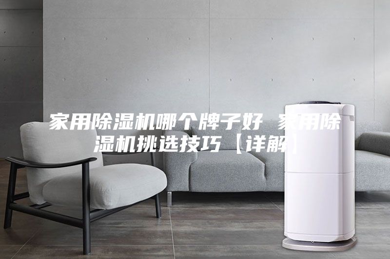 家用除濕機(jī)哪個(gè)牌子好 家用除濕機(jī)挑選技巧【詳解】