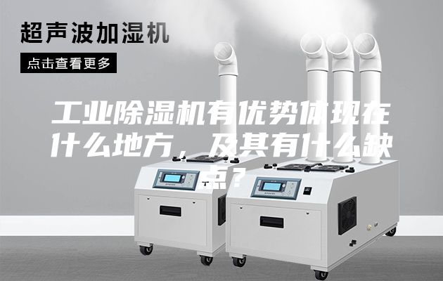 工業(yè)除濕機(jī)有優(yōu)勢(shì)體現(xiàn)在什么地方，及其有什么缺點(diǎn)？