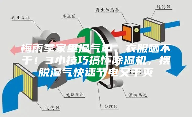 梅雨季家里濕氣重、衣服曬不干！3小技巧搞懂除濕機，擺脫濕氣快速節(jié)電又干爽