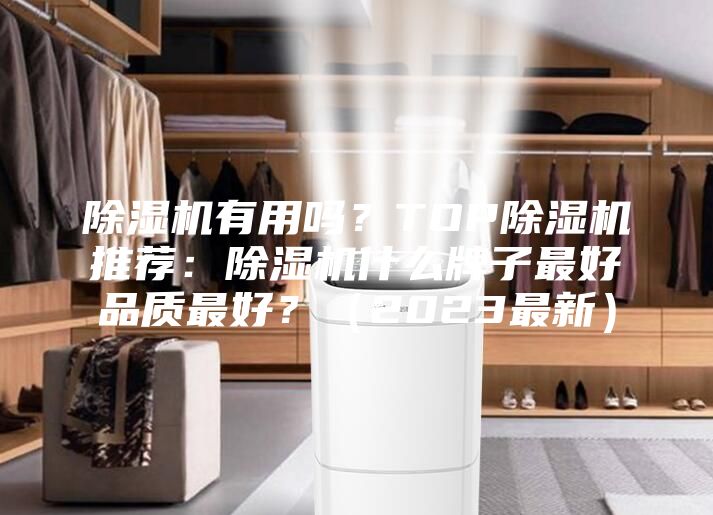 除濕機(jī)有用嗎？TOP除濕機(jī)推薦：除濕機(jī)什么牌子最好品質(zhì)最好？（2023最新）
