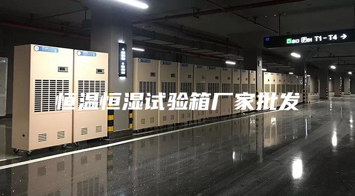 恒溫恒濕試驗(yàn)箱廠家批發(fā)