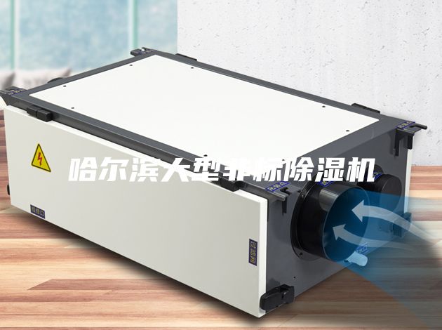 哈爾濱大型非標(biāo)除濕機(jī)