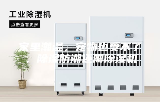 家里潮濕，寵物也受不了，除濕防潮還需除濕機(jī)