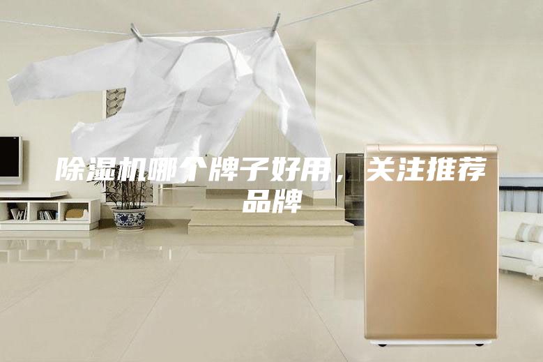 除濕機(jī)哪個牌子好用，關(guān)注推薦品牌