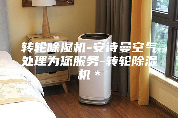 轉(zhuǎn)輪除濕機(jī)-安詩曼空氣處理為您服務(wù)-轉(zhuǎn)輪除濕機(jī)＊