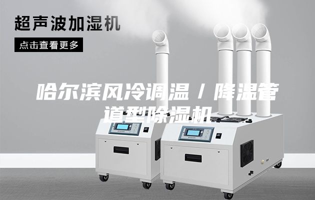 哈爾濱風冷調(diào)溫／降溫管道型除濕機