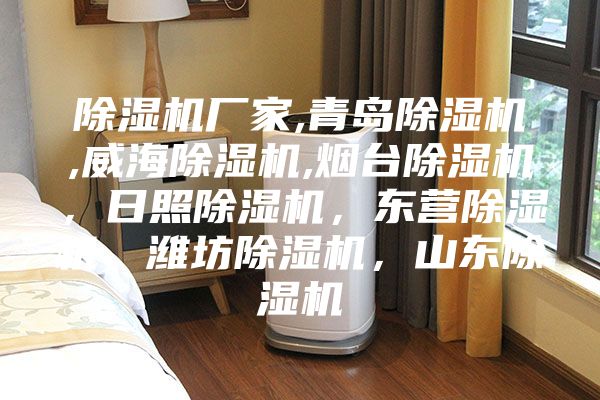 除濕機(jī)廠家,青島除濕機(jī),威海除濕機(jī),煙臺(tái)除濕機(jī)，日照除濕機(jī)，東營(yíng)除濕機(jī)，濰坊除濕機(jī)，山東除濕機(jī)
