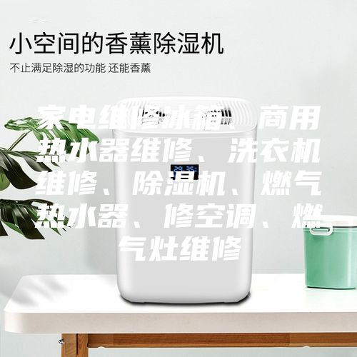 家電維修冰箱、商用熱水器維修、洗衣機(jī)維修、除濕機(jī)、燃?xì)鉄崴鳌⑿蘅照{(diào)、燃?xì)庠罹S修