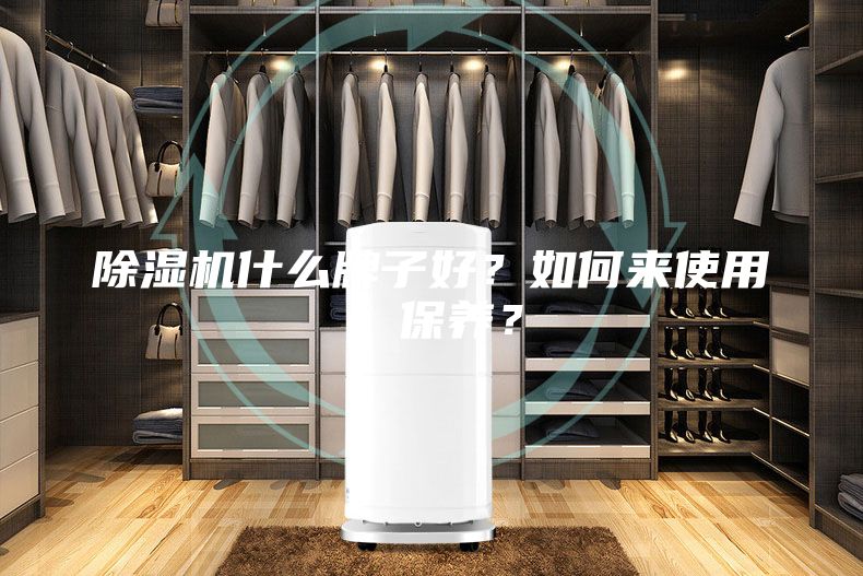 除濕機(jī)什么牌子好？如何來使用、保養(yǎng)？