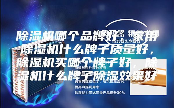 除濕機哪個品牌好，家用除濕機什么牌子質量好，除濕機買哪個牌子好，除濕機什么牌子除濕效果好