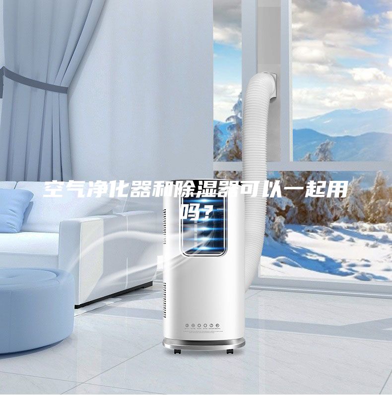 空氣凈化器和除濕器可以一起用嗎？
