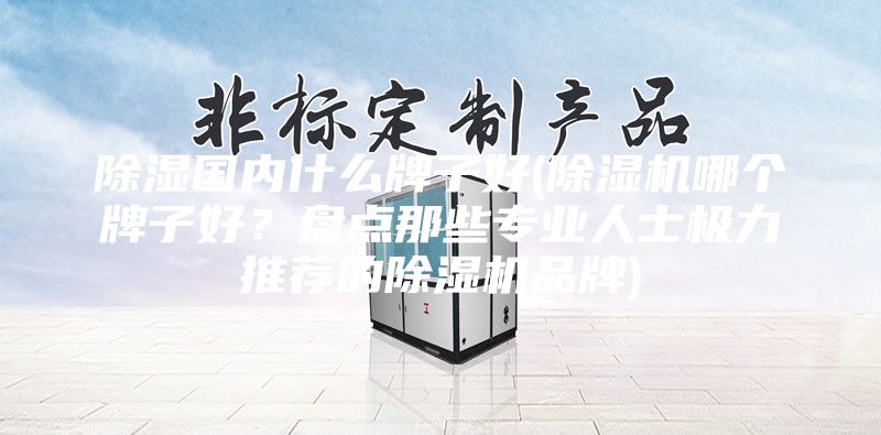 除濕國內(nèi)什么牌子好(除濕機(jī)哪個牌子好？盤點(diǎn)那些專業(yè)人士極力推薦的除濕機(jī)品牌)