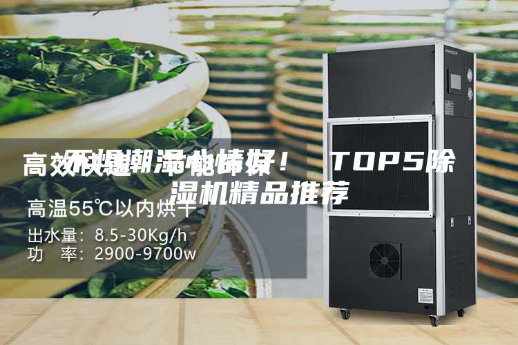 不懼潮濕心情好！ TOP5除濕機(jī)精品推薦