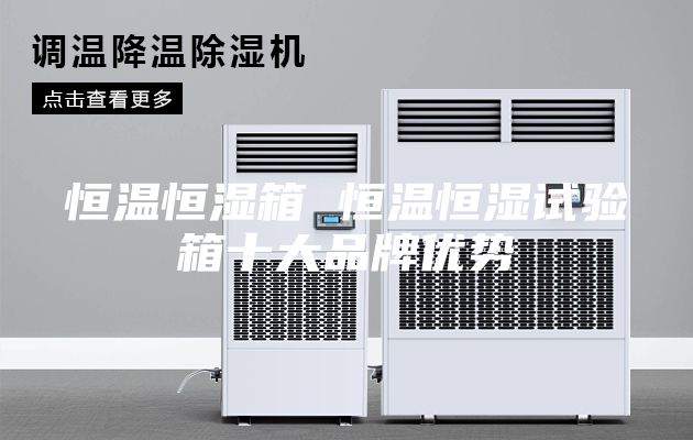 恒溫恒濕箱 恒溫恒濕試驗箱十大品牌優(yōu)勢