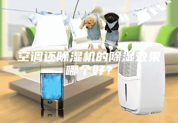 空調還除濕機的除濕效果哪個好？