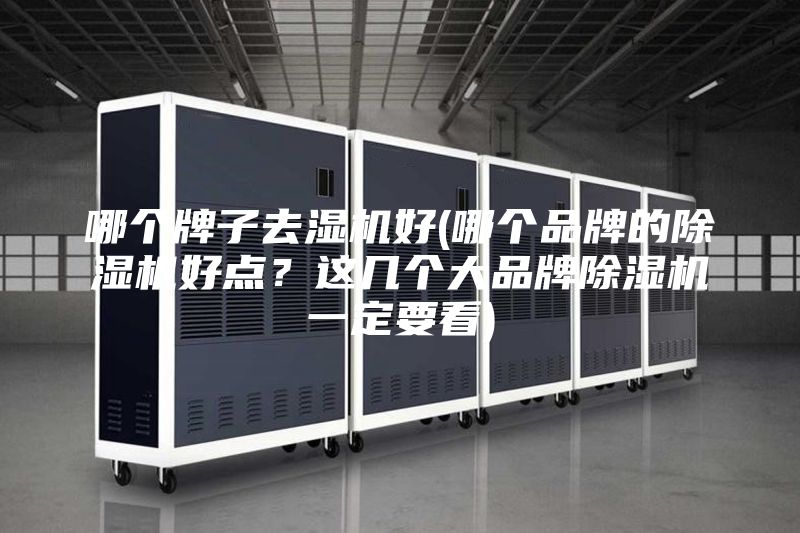 哪個牌子去濕機好(哪個品牌的除濕機好點？這幾個大品牌除濕機一定要看)