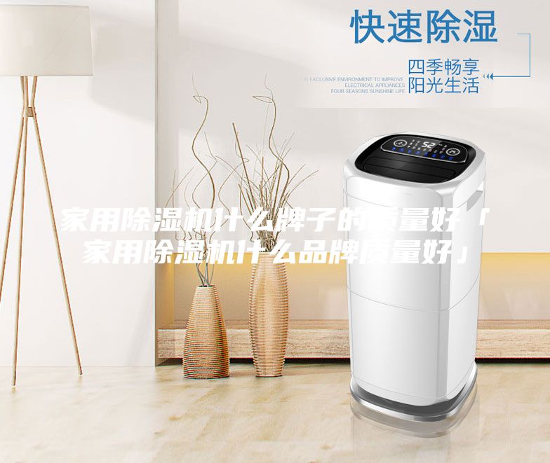 家用除濕機什么牌子的質(zhì)量好「家用除濕機什么品牌質(zhì)量好」