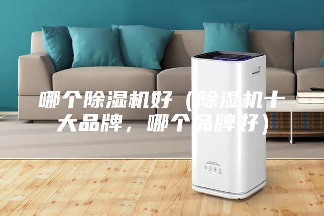 哪個(gè)除濕機(jī)好（除濕機(jī)十大品牌，哪個(gè)品牌好）