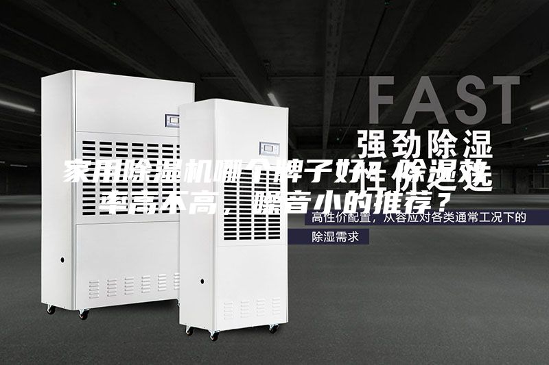 家用除濕機哪個牌子好？除濕效率高不高，噪音小的推薦？