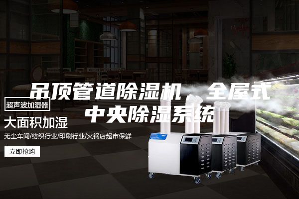 吊頂管道除濕機，全屋式中央除濕系統(tǒng)