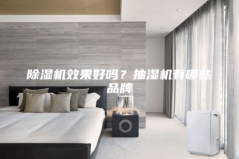 除濕機(jī)效果好嗎？抽濕機(jī)有哪些品牌