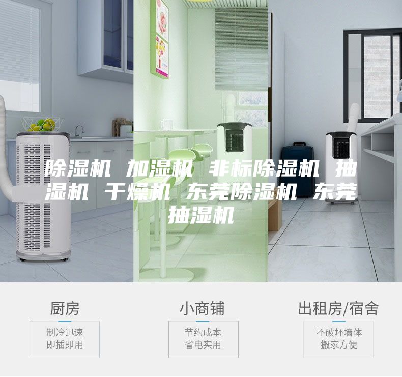 除濕機(jī) 加濕機(jī) 非標(biāo)除濕機(jī) 抽濕機(jī) 干燥機(jī) 東莞除濕機(jī) 東莞抽濕機(jī)