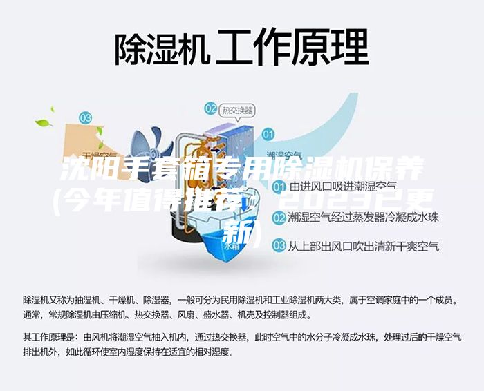 沈陽手套箱專用除濕機(jī)保養(yǎng)(今年值得推薦：2023已更新)