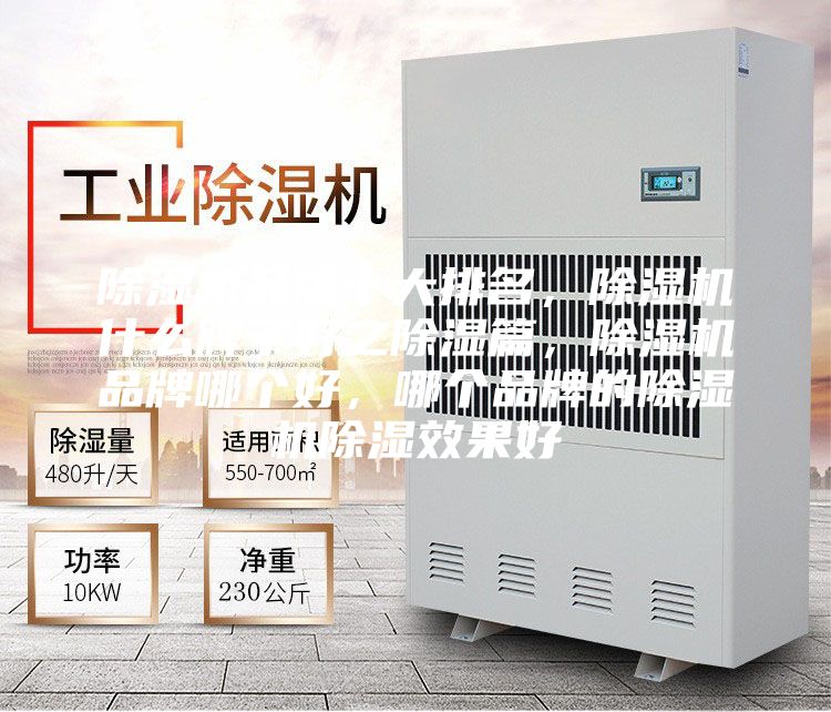 除濕機(jī)品牌十大排名，除濕機(jī)什么牌子好之除濕篇，除濕機(jī)品牌哪個(gè)好，哪個(gè)品牌的除濕機(jī)除濕效果好