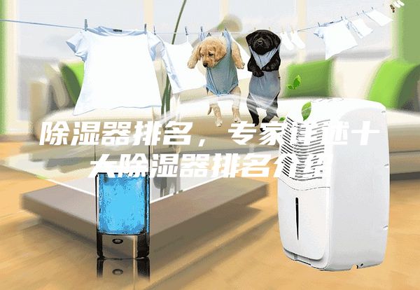 除濕器排名，專(zhuān)家詳述十大除濕器排名介紹