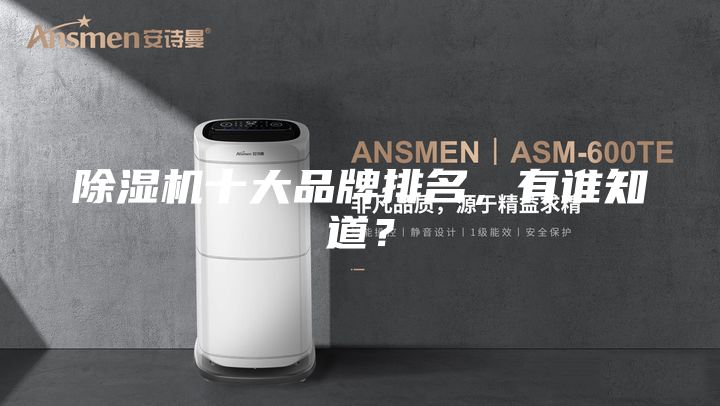 除濕機(jī)十大品牌排名，有誰(shuí)知道？