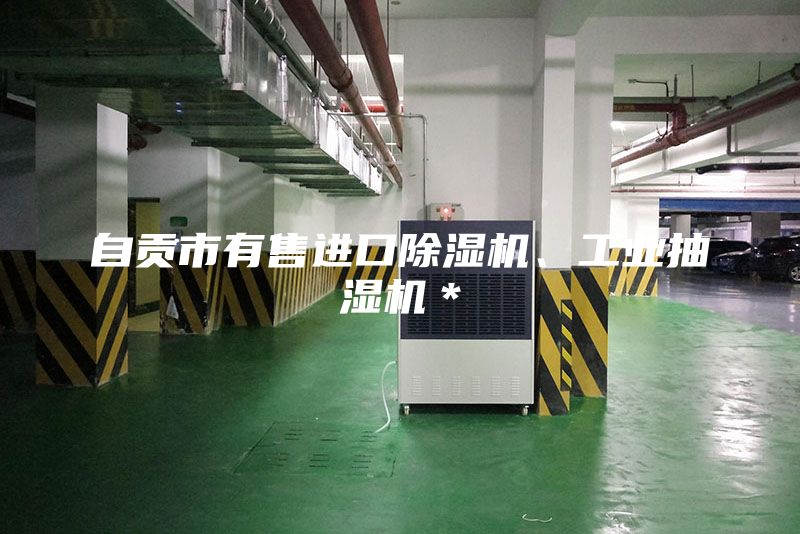 自貢市有售進口除濕機、工業(yè)抽濕機＊